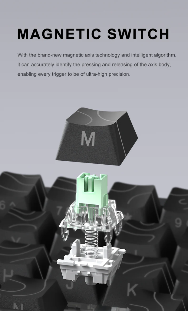G67-__03.png.webp