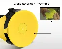 8035424.webp