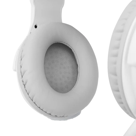 Redragon H350 Pandora RGB Wired Gaming Headset, Dynamic RGB Backlight - Stereo Surround-Sound - 50MM Drivers - Detachable Microphone, Over-Ear Headphones Works for PC/PS4/XBOX One/NS