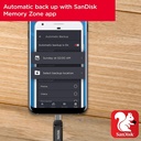 SanDisk Type-C USB Drive Ultra 64GB Dual Type-C GO USB Flash Drive Memory Stick PC MAC SDDDC3-064G