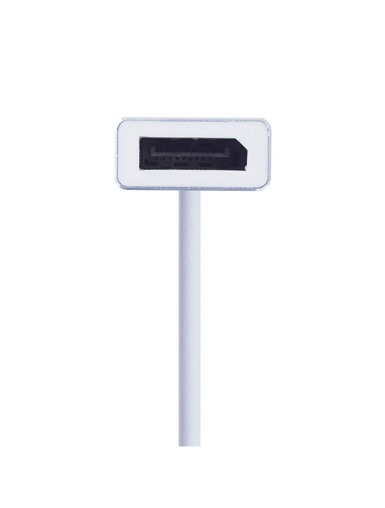 2B (CV145) Type C to Display Port Converter