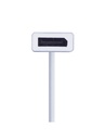 2B (CV145) Type C to Display Port Converter
