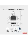 3dc99691-bc1f-4cc6-bb98-9ed1f4252809.webp