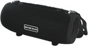 BoomsBass Wireless Portable Bluetooth Speaker with Large Battery, Built in Mic & HD Surround Sound with Deep Bass Also Support USB, SD Card, AUX, FM & Call Function for Android & iOS (L9)