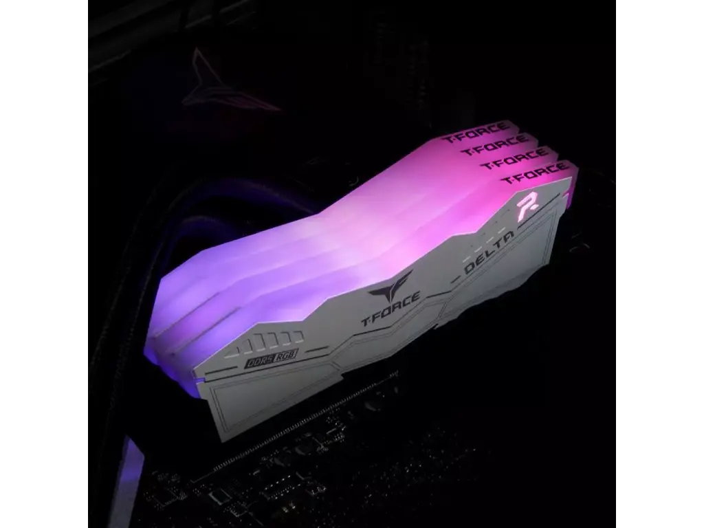 s-l1600 (5).webp