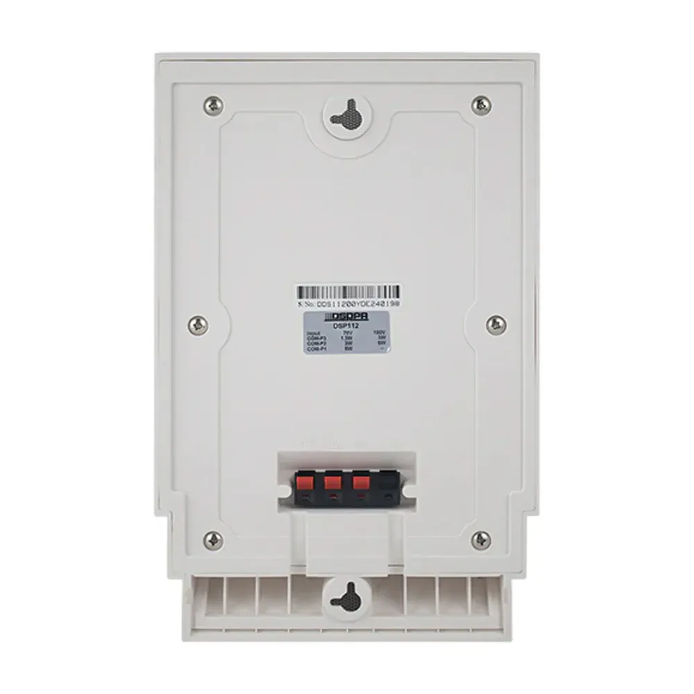 DsppaDSP112WallSpeaker6W_3.webp