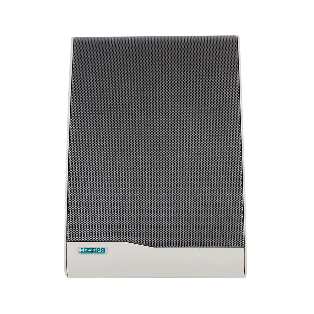 DsppaDSP106IIWallSpeaker10W_2.webp