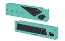 Keyboard & Mouse Combo Logitech MK290