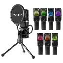 Sf-777W Yanmai Wireless 2.4G Condenser Desktop with Wireless Active Noise Canceling Gaming Microphone for Live Streaming