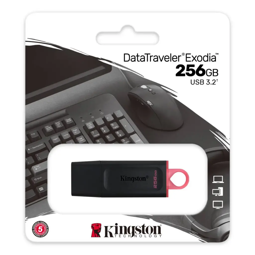 256GB Kingston FLASH DataTraveler Exodia USB 3.2 